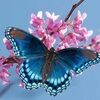 christywilli932